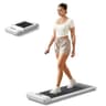 WalkingPad C2