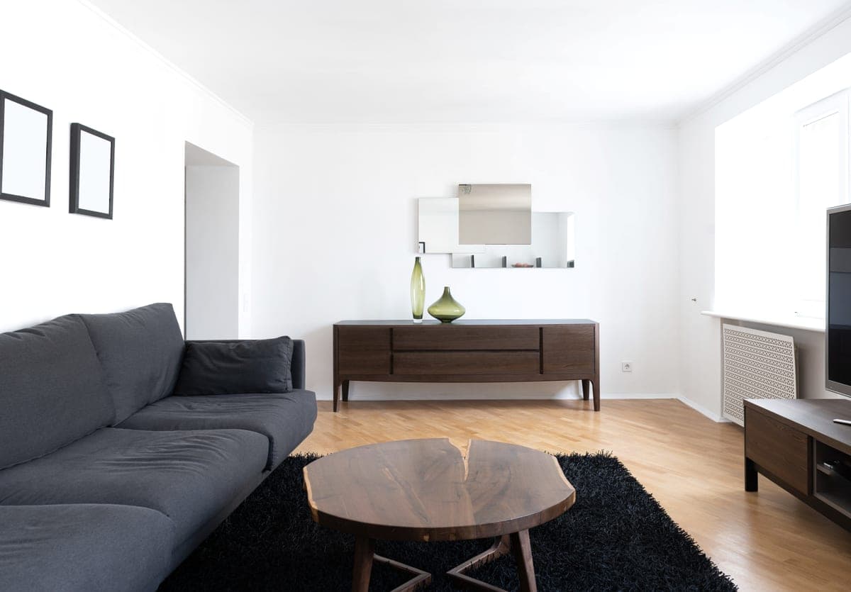A small apartment living room with a sofa, rug and low coffee table in warm daylight